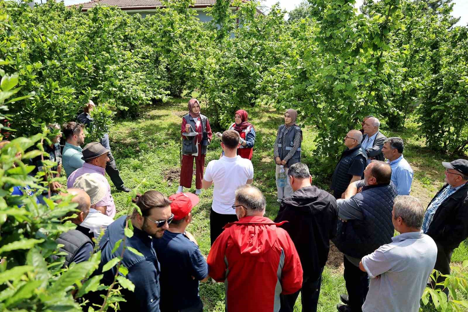 Büyükşehir’in 2025 tarım raporu: 810 noktada toprak analizi yapıldı
