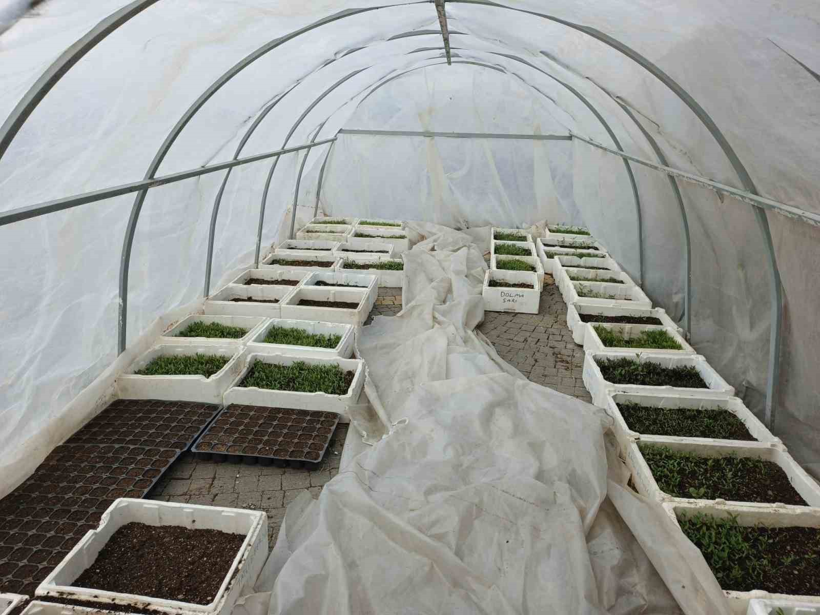 Büyükşehirin Doğal Ürünler Bahçesi ve Pazarı’nda yeni sezon hazırlığı
