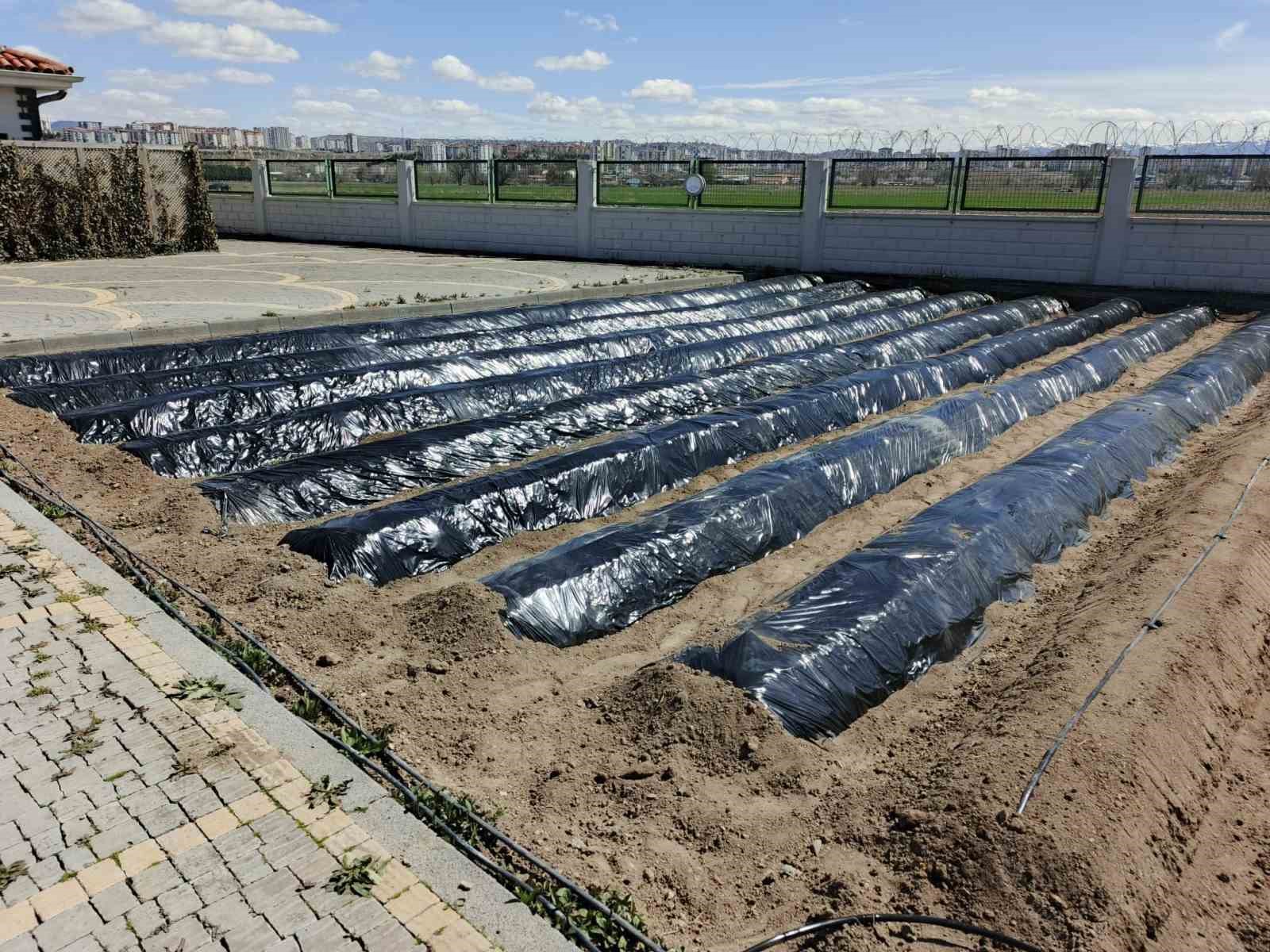 Büyükşehirin Doğal Ürünler Bahçesi ve Pazarı’nda yeni sezon hazırlığı
