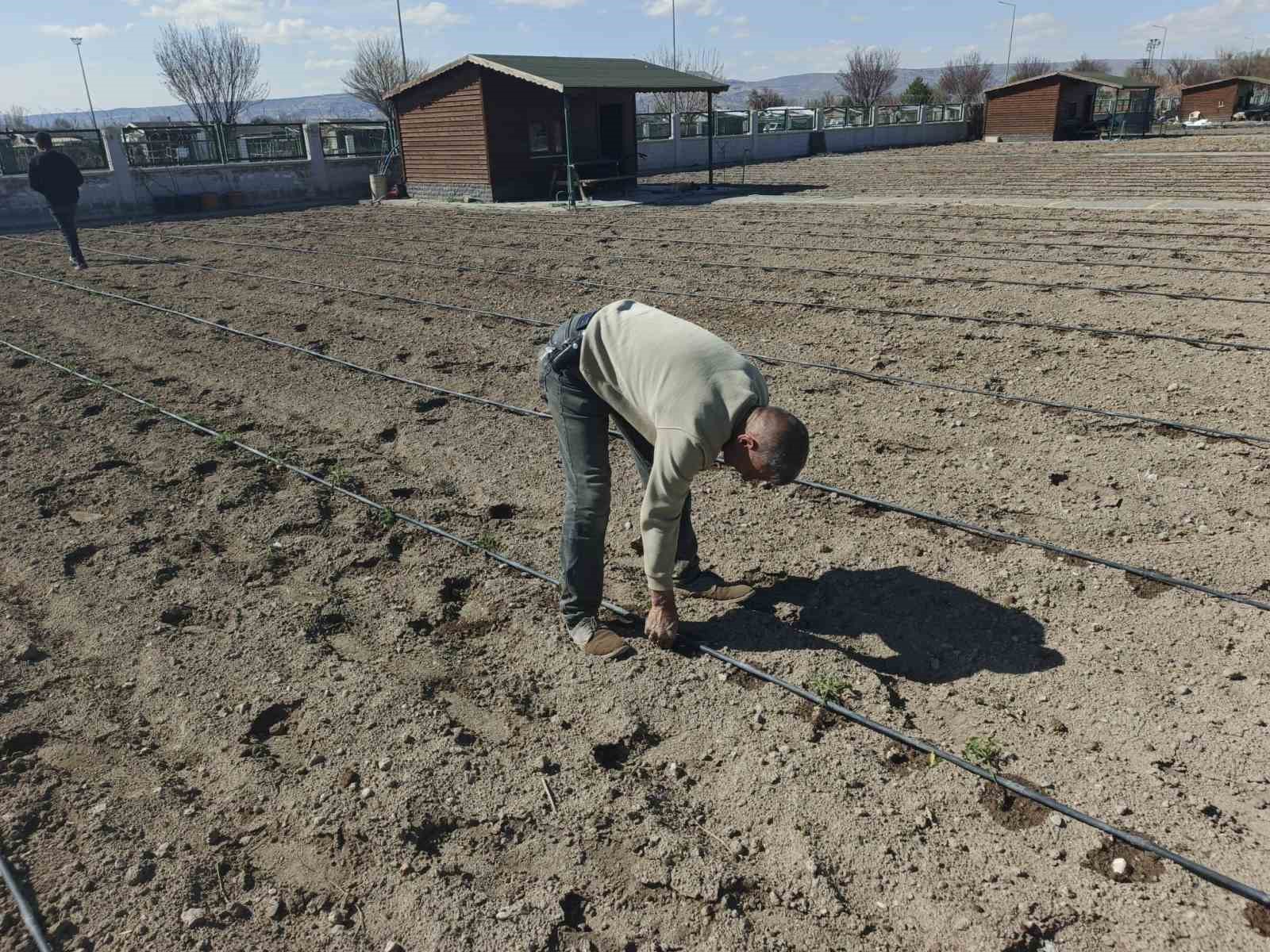 Büyükşehirin Doğal Ürünler Bahçesi ve Pazarı’nda yeni sezon hazırlığı
