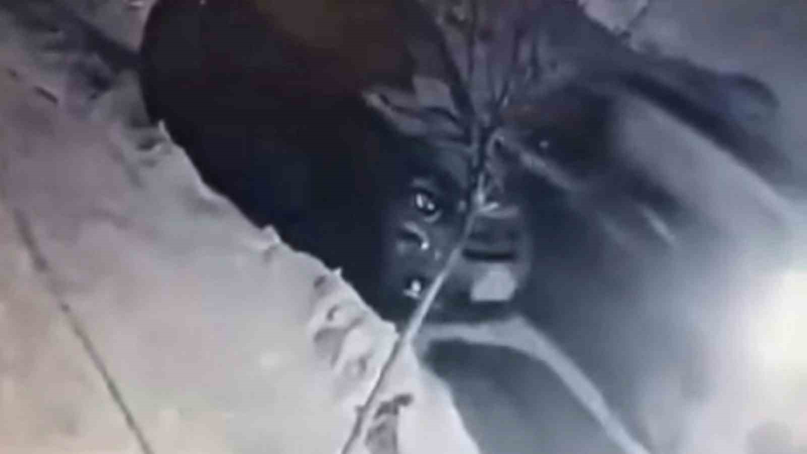 Buzda kayan araç park halindeki otomobile çarptı
