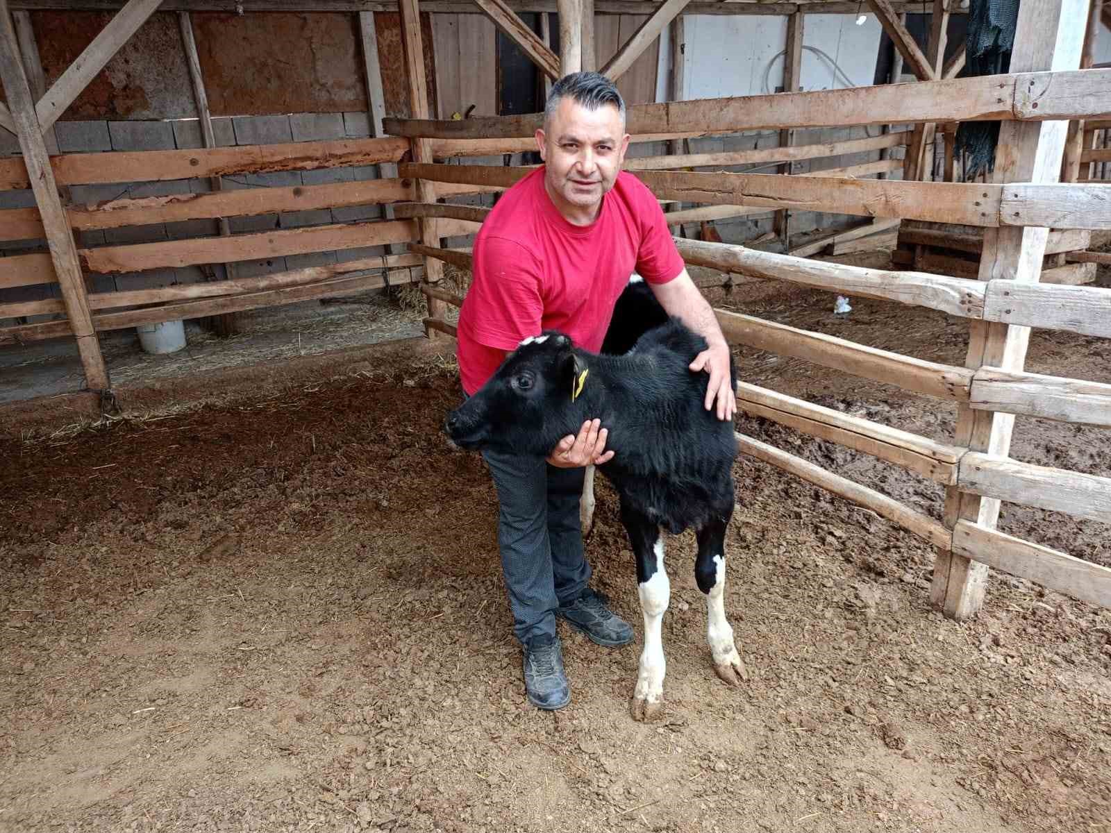 Çal’da Mert için yürekler seferber oldu
Çal’da Mert için yürekler seferber oldu