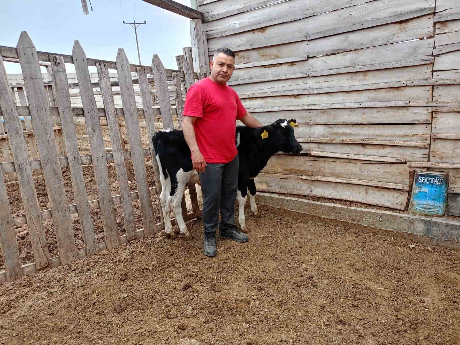 Çal’da Mert için yürekler seferber oldu
Çal’da Mert için yürekler seferber oldu