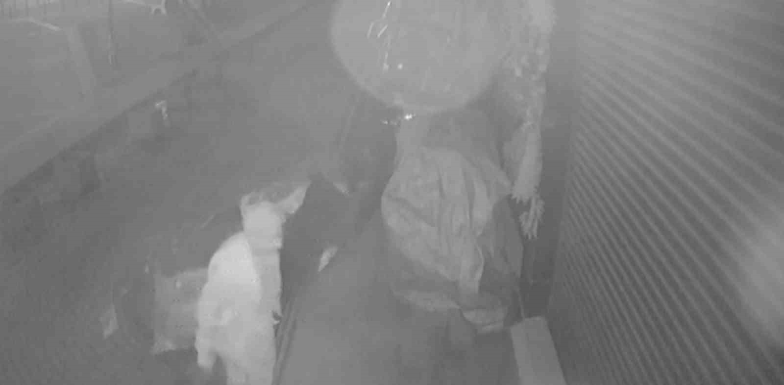 Çaldığı brandayı çöp poşetine sığdıramayınca eliyle taşıyarak götürdü
