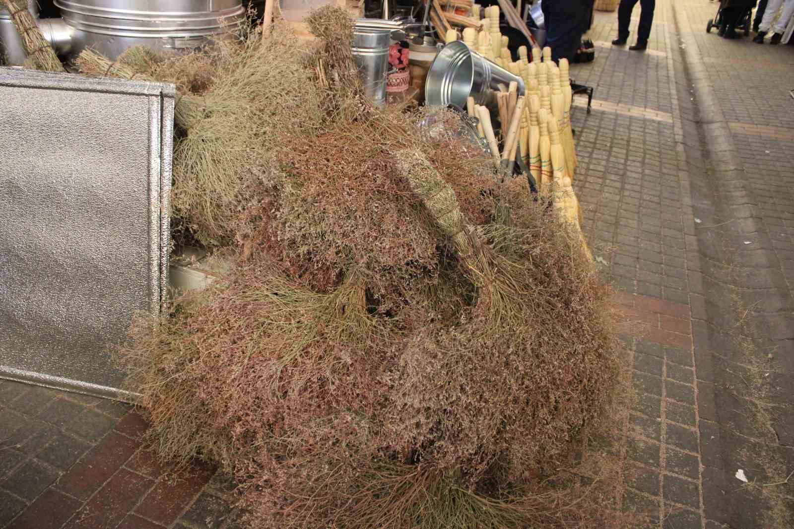 Çalı süpürgesi teknolojiye direniyor
Çalı süpürgesi teknolojiye direniyor