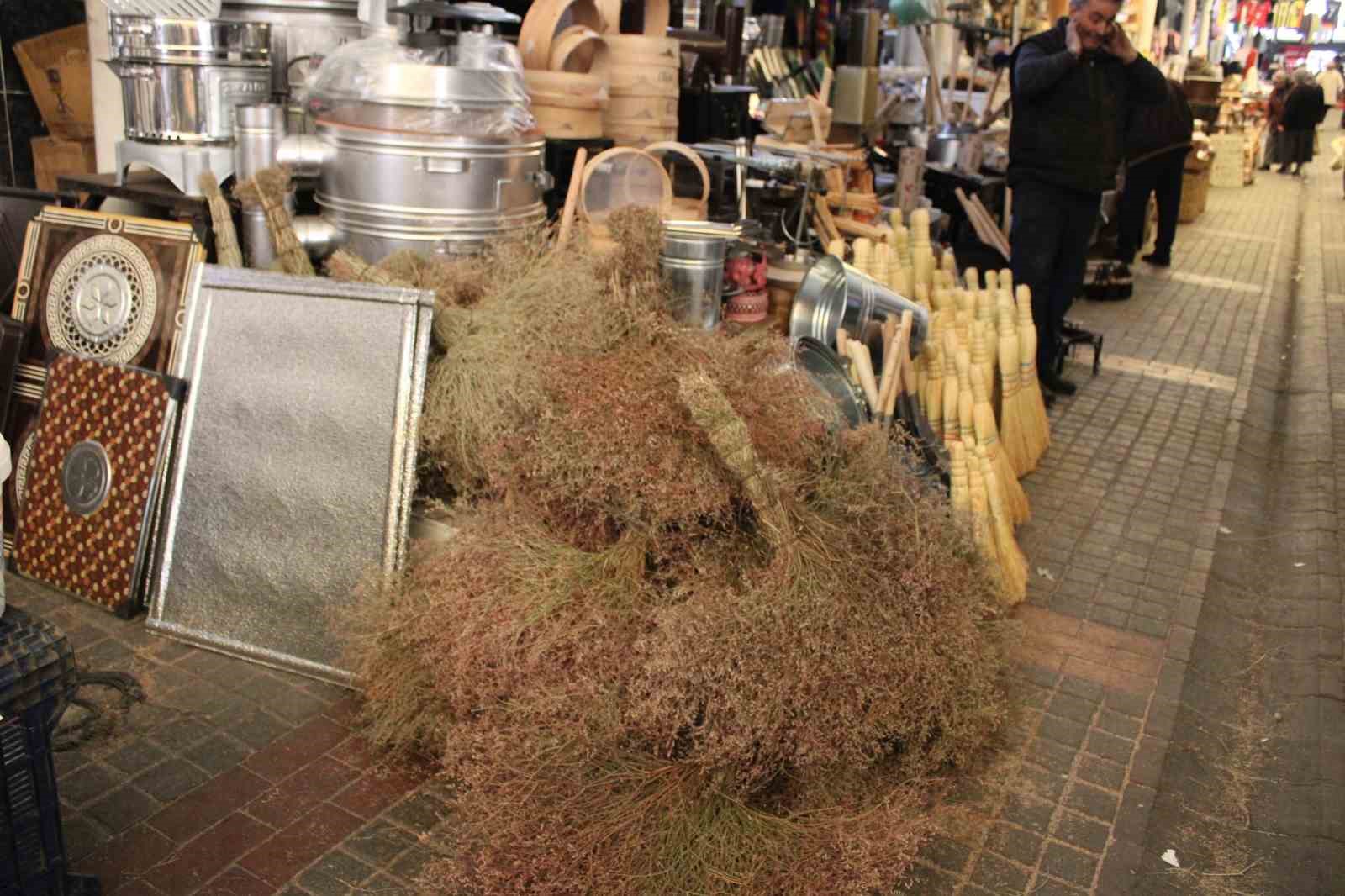 Çalı süpürgesi teknolojiye direniyor
Çalı süpürgesi teknolojiye direniyor