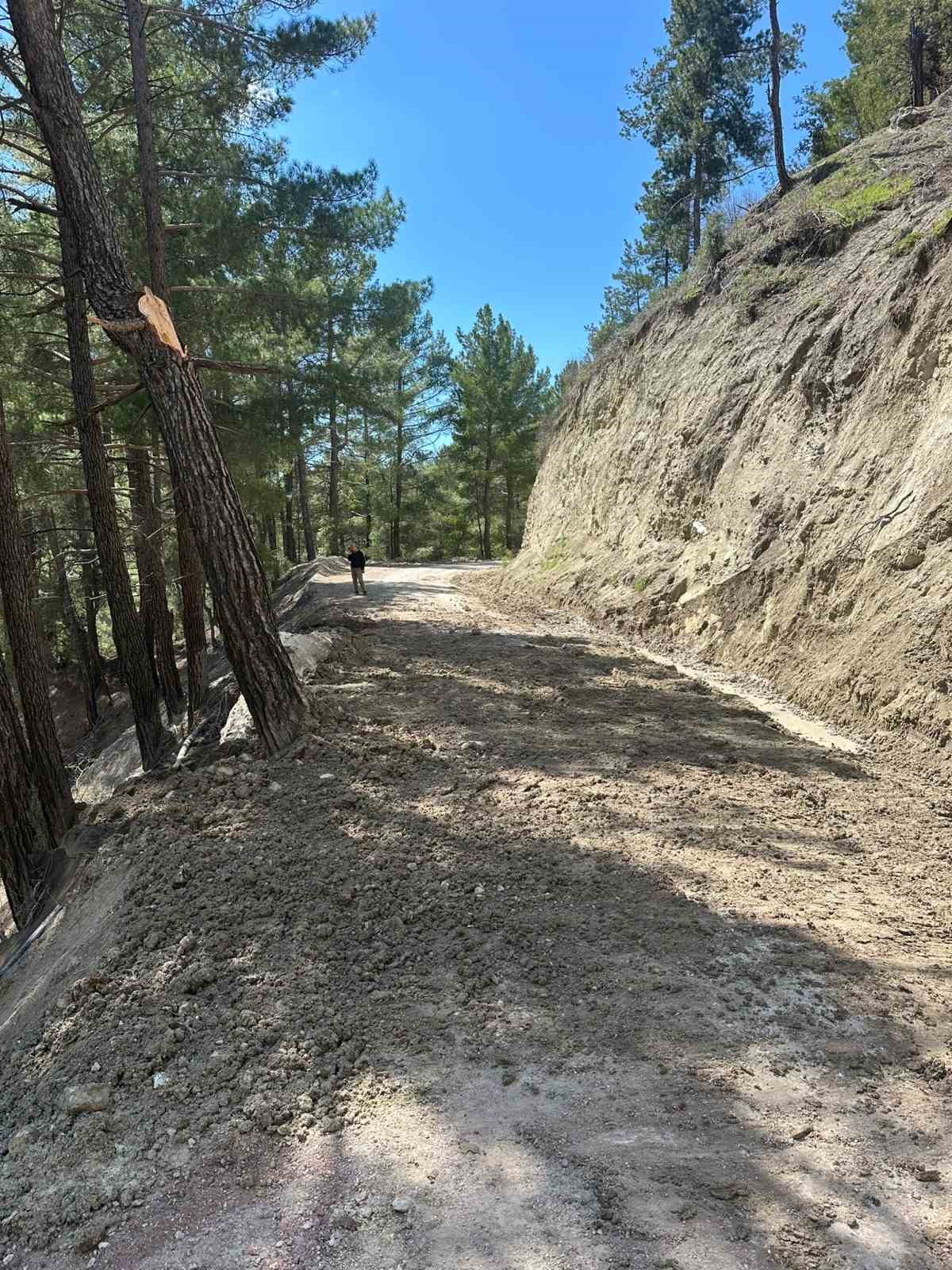 Çameli Belediyesi heyelan sonucu kapanan yolları ulaşıma açtı
