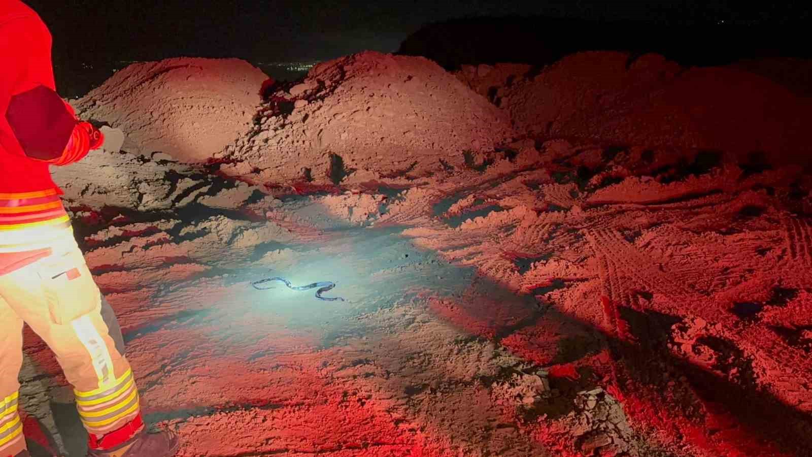 Camide görülen yılan yakalandı
