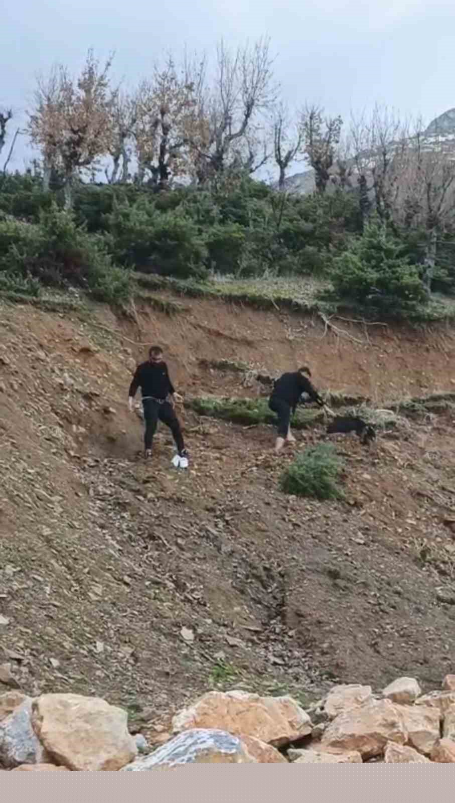 Çamura saplanan keçi son anda kurtarıldı
