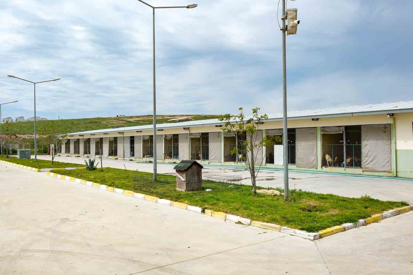 Can dostlar için Menemen’de rekor tedavi sayısına ulaşıldı
