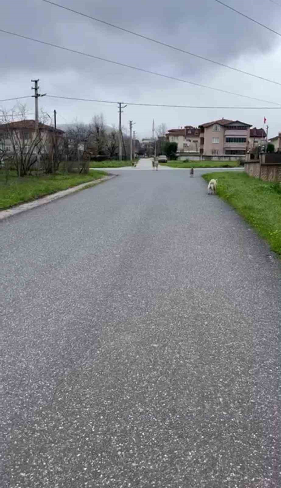 Can korkusuyla aldığı kurusıkı, işsizliğe sebep oldu
