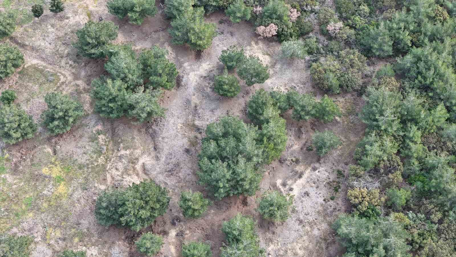 Çanakkale Cephesi’nde propaganda savaşlarında İngilizlerden Türklere ’siz bizim düşmanımız değilsiniz’ vurgusu
