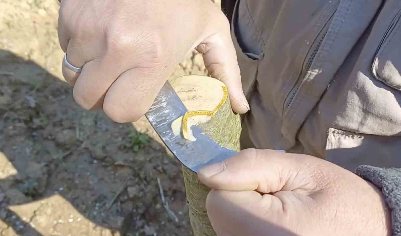 Çanakkale’de ‘Aşı Akademisi’
