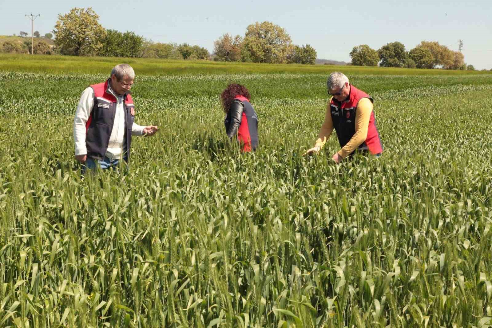 Çanakkale’de ekili ve dikili alanlarda kontroller devam ediyor
