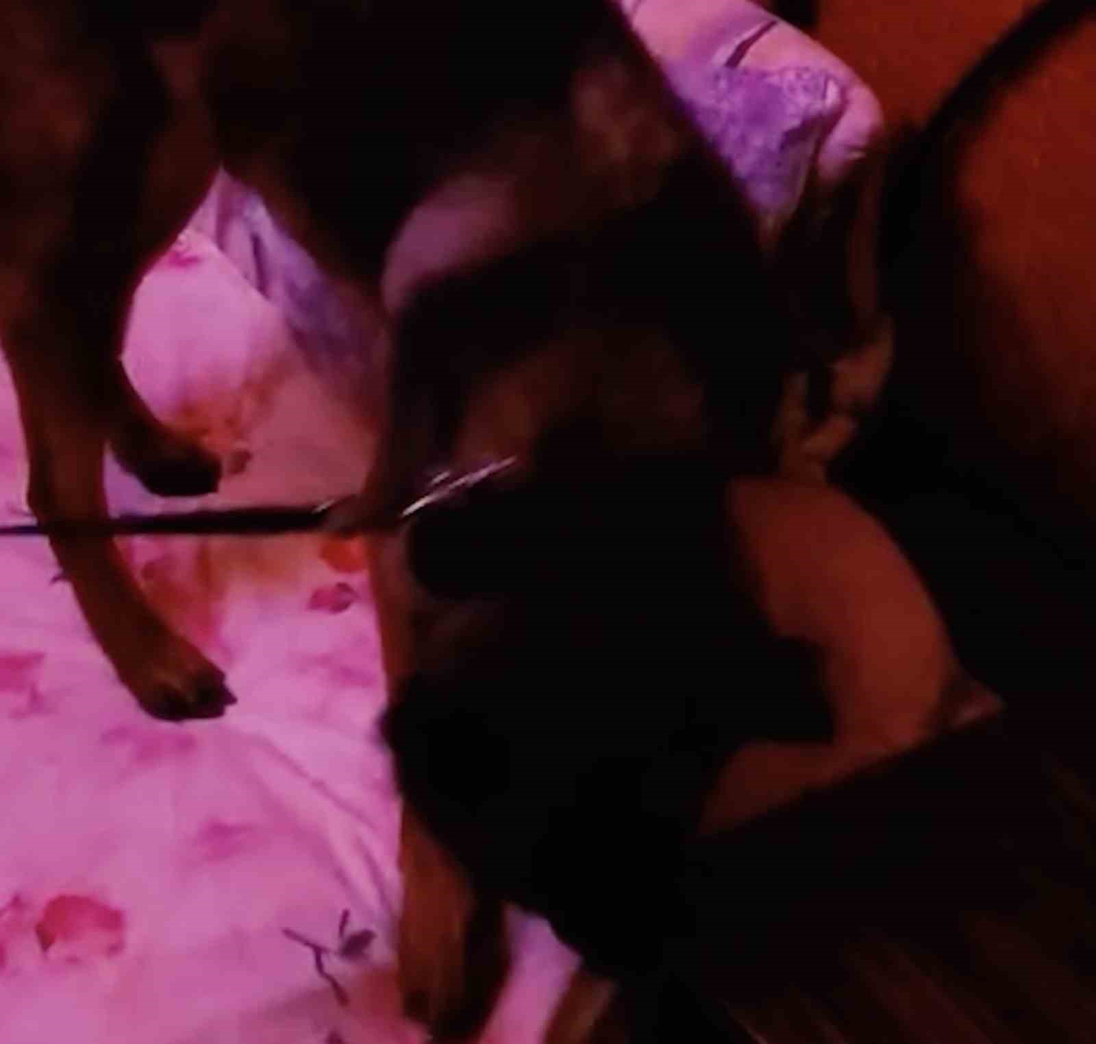 Çanakkale’de FETÖ’den 14 yıl 2 ay kesinleşmiş hapis cezası bulunan şahıs tutuklandı
