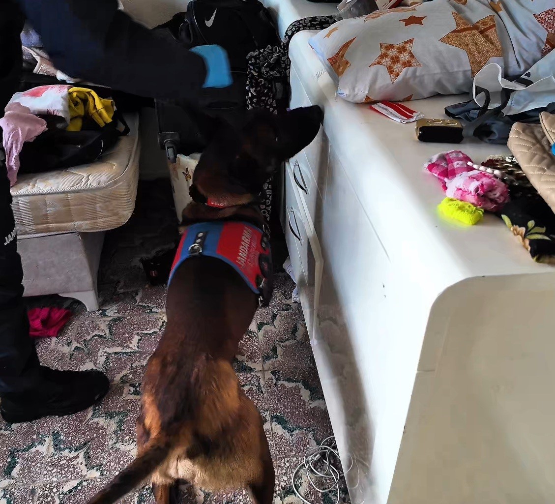 Çanakkale’de jandarmadan uyuşturucu operasyonuna 8 tutuklama
