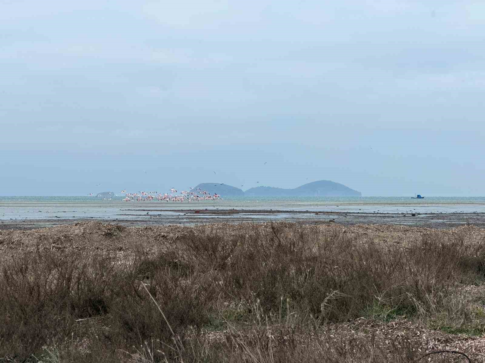 Çanakkale’de kış ortası su kuşu sayımları
