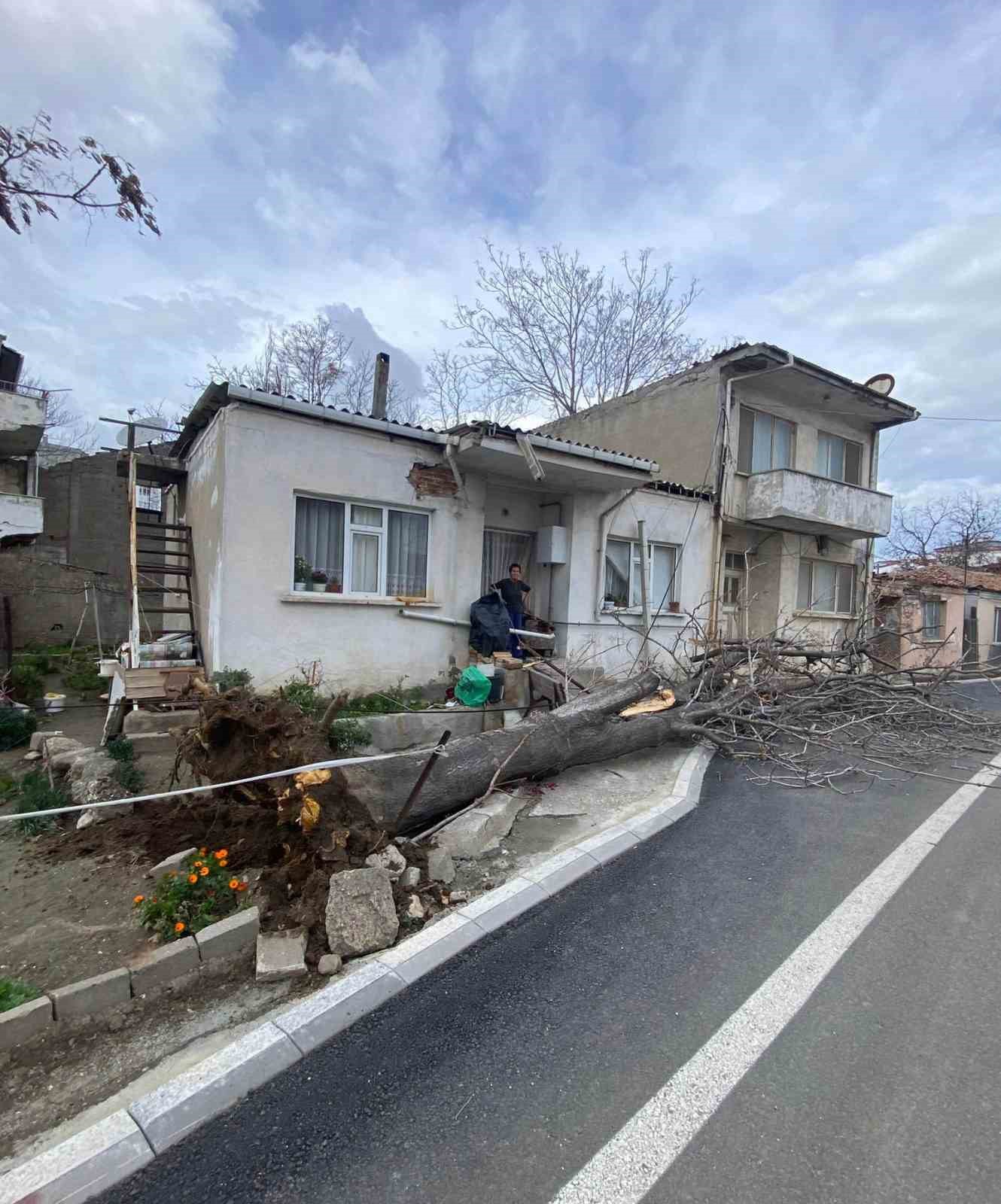 Çanakkale’de lodos fırtınasında devrilen ağaç evin çatısına zarar verdi
