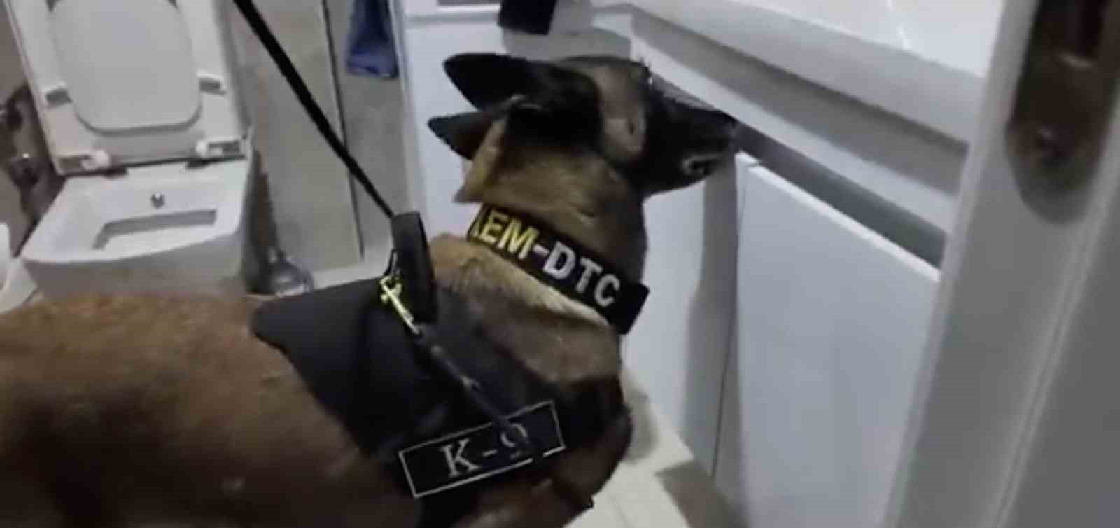 Çanakkale’de yeni nesil suç örgütü çökertildi
