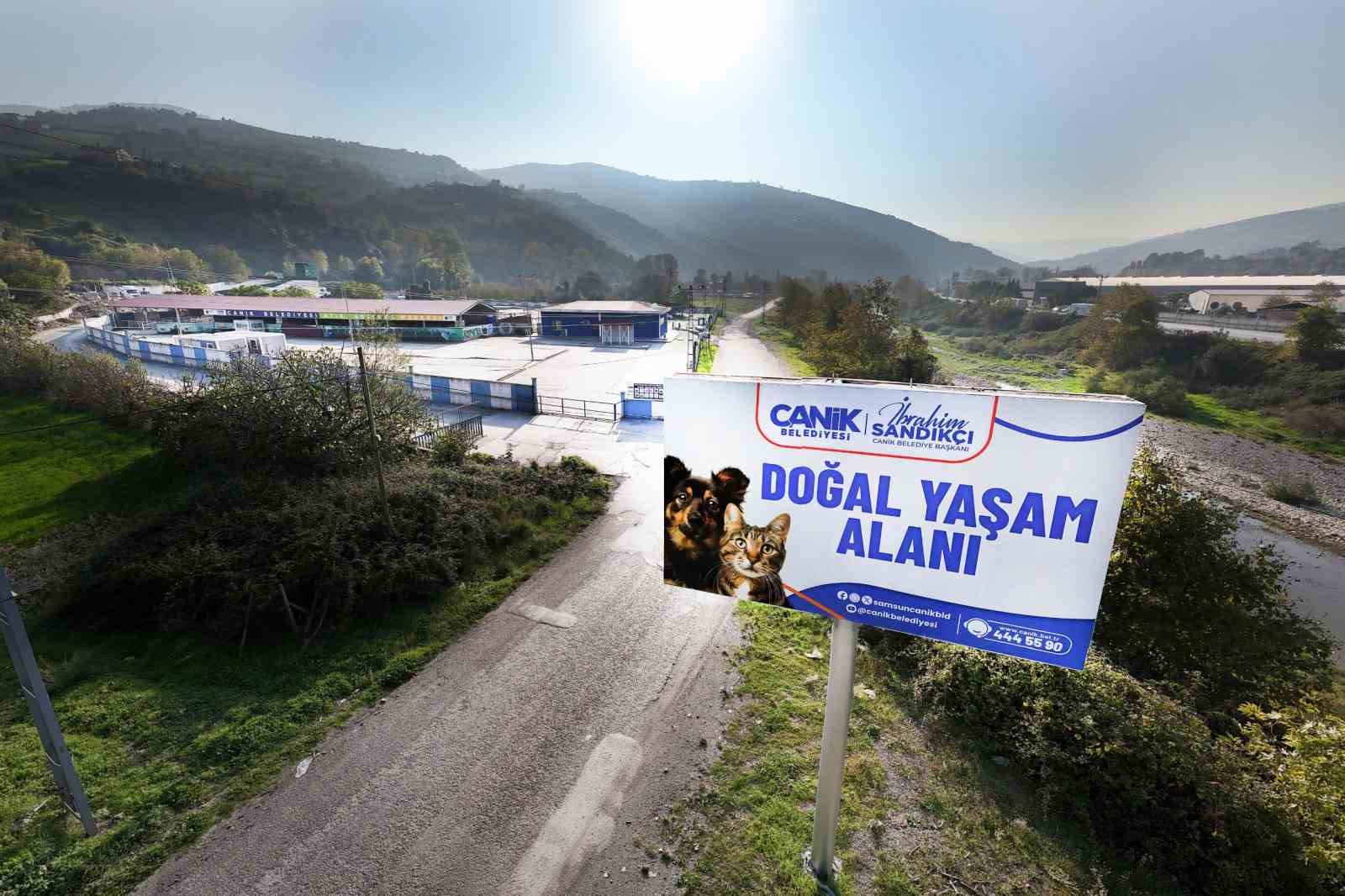 Canik Belediyesi doğal yaşam alanıyla can dostlara kucak açıyor

