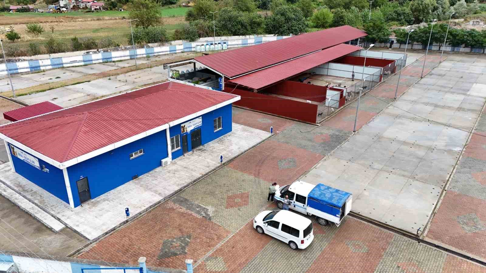 Canik Belediyesi doğal yaşam alanıyla can dostlara kucak açıyor

