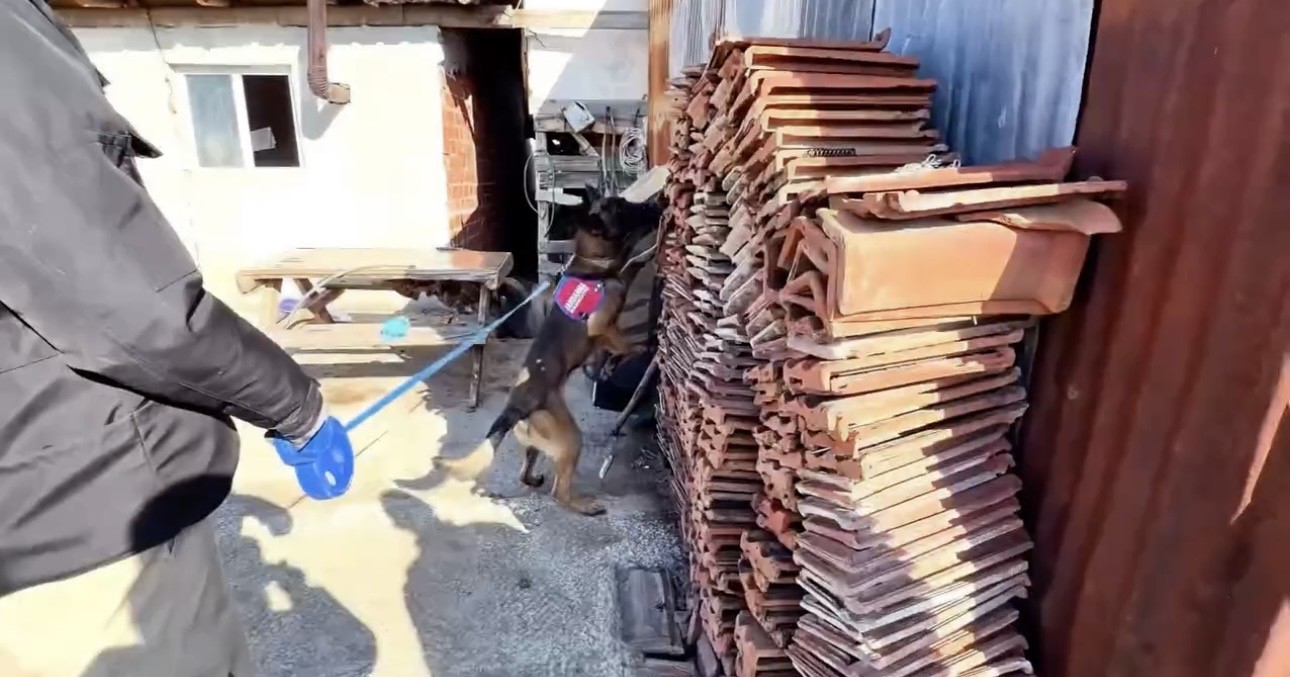 Çankırı’da uyuşturucu operasyonu: 13 tutuklama
