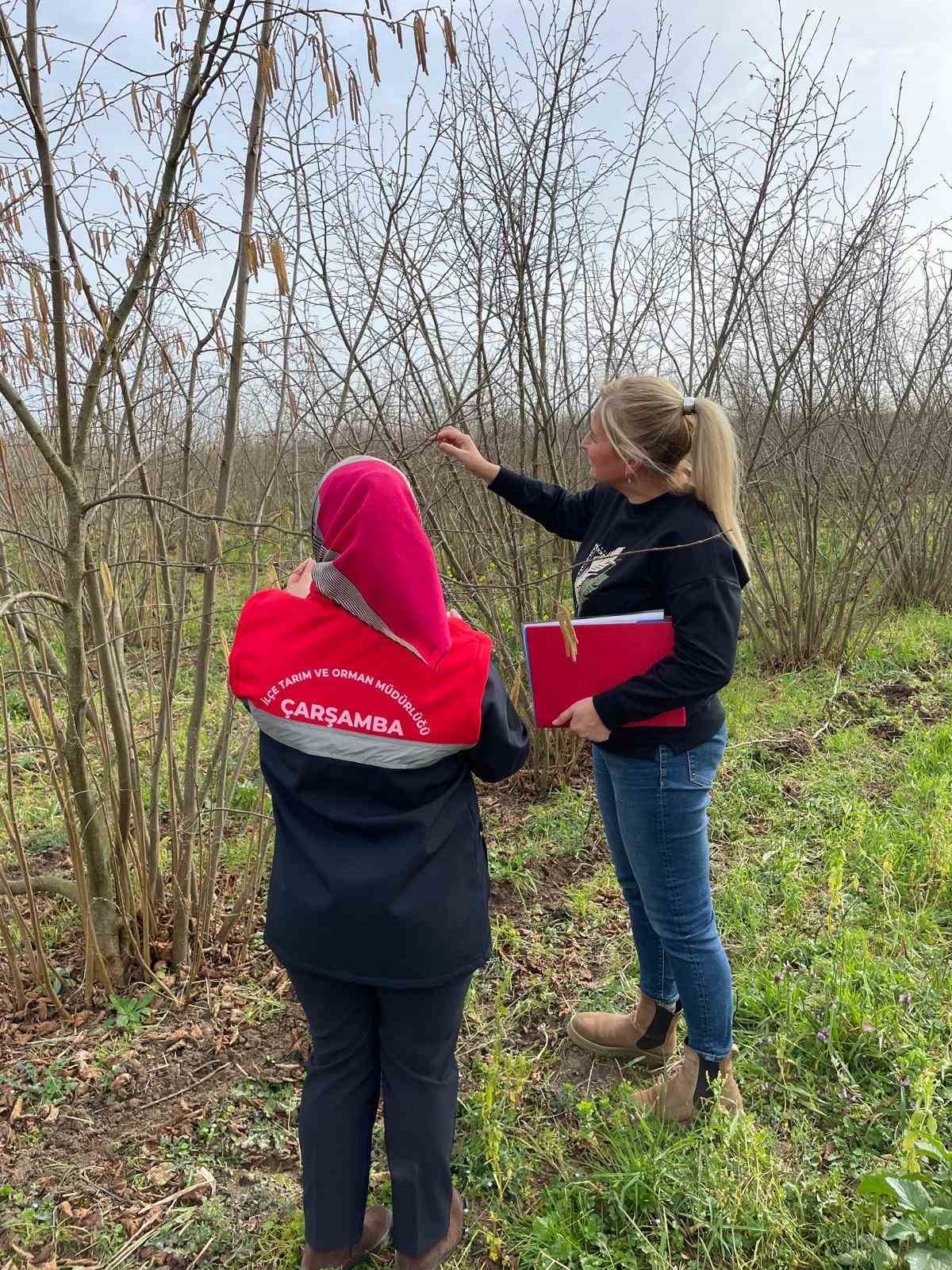Çarşamba’da fenolojik gözlem ve destekleme çalışmaları
