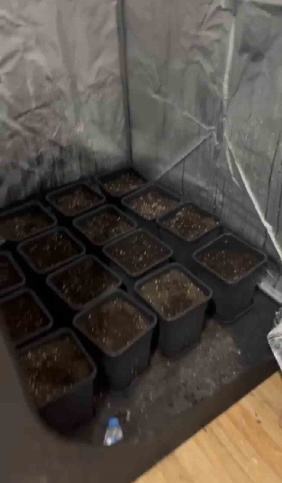 Çarşamba’da jandarmadan uyuşturucu operasyonu
