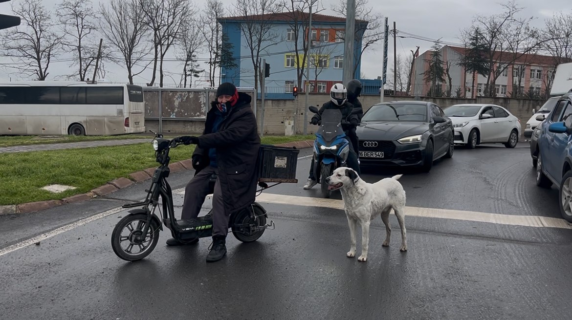 Çarşı pazar peşinden ayrılmıyor
