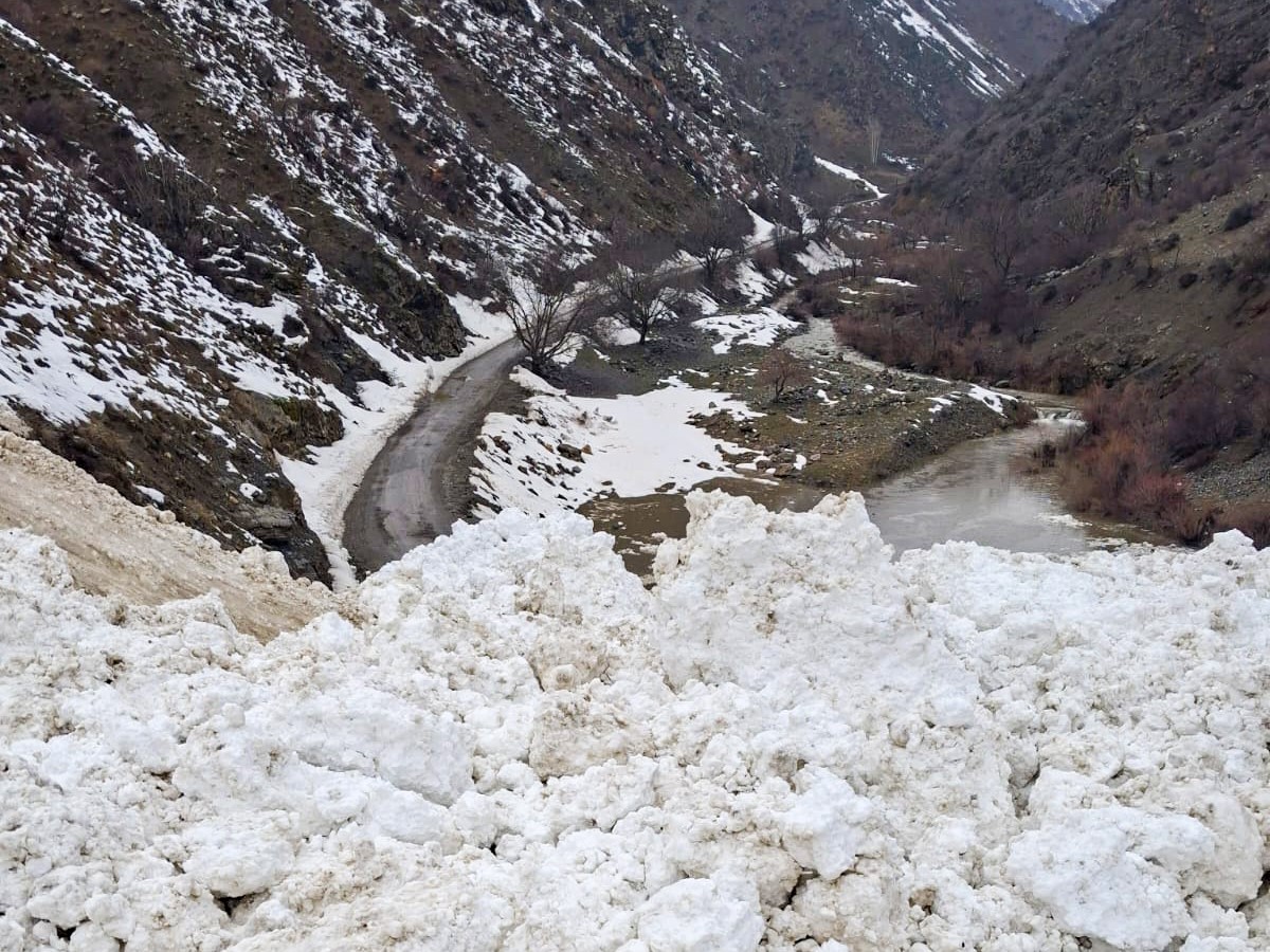 Çatak’ta çığ düştü: 1 mahalle ve 8 mezraya ulaşımı sağlanamıyor
