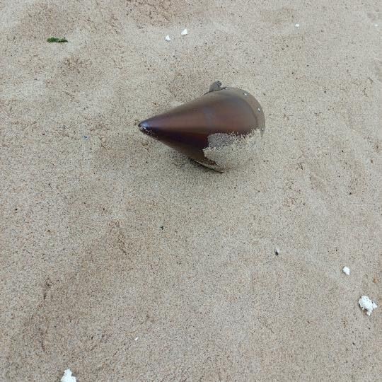 Çatalca’da kıyıya vuran füze başlığı imha edildi
