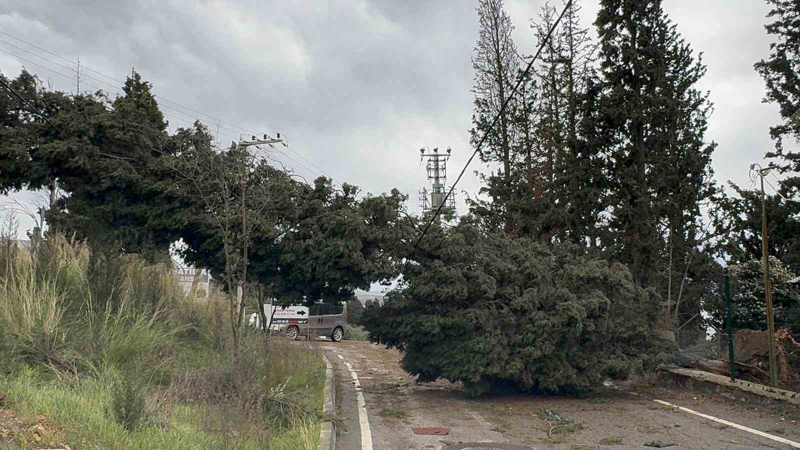 Çatıdan kopan kereste seyir halindeki otobüse saplandı
Çatıdan kopan kereste seyir halindeki otobüse saplandı