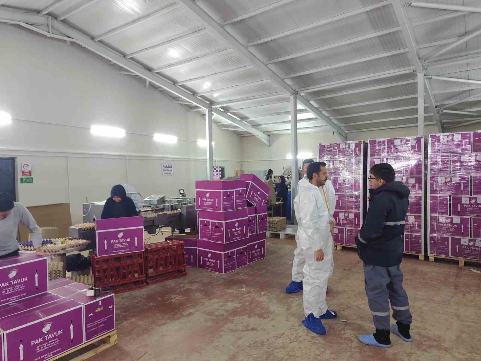 Çavdarhisar’da ticari yumurtacı kanatlı işletmesinde inceleme
