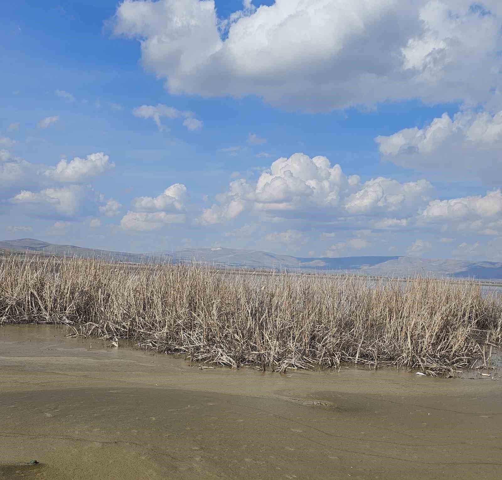 Çavuşçu Gölü çatlamış topraktan göl görünümüne kavuşmaya başladı
