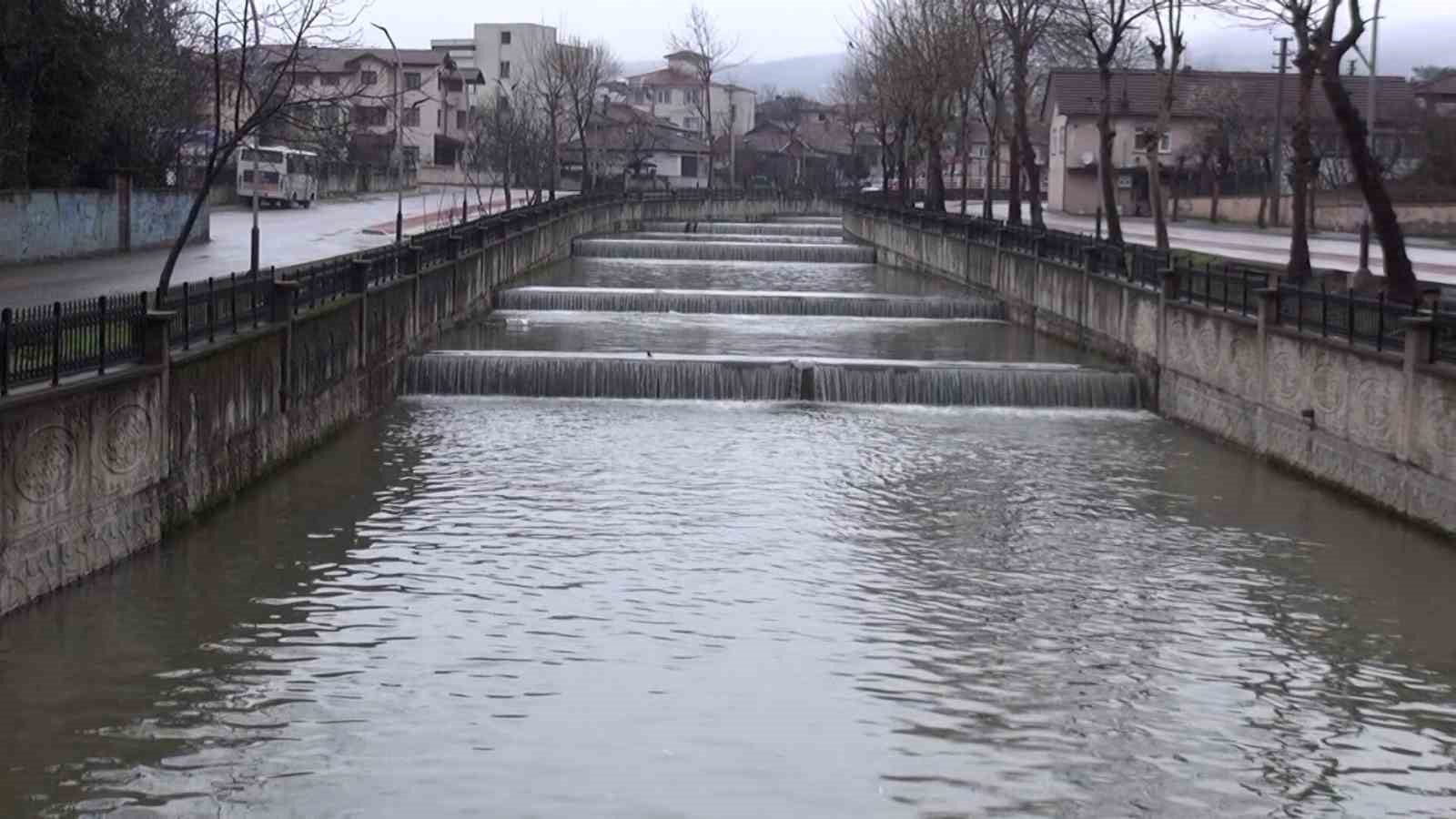 Çayda korkutan görüntü: Yüzeye çıkan balıklar ölüyor
