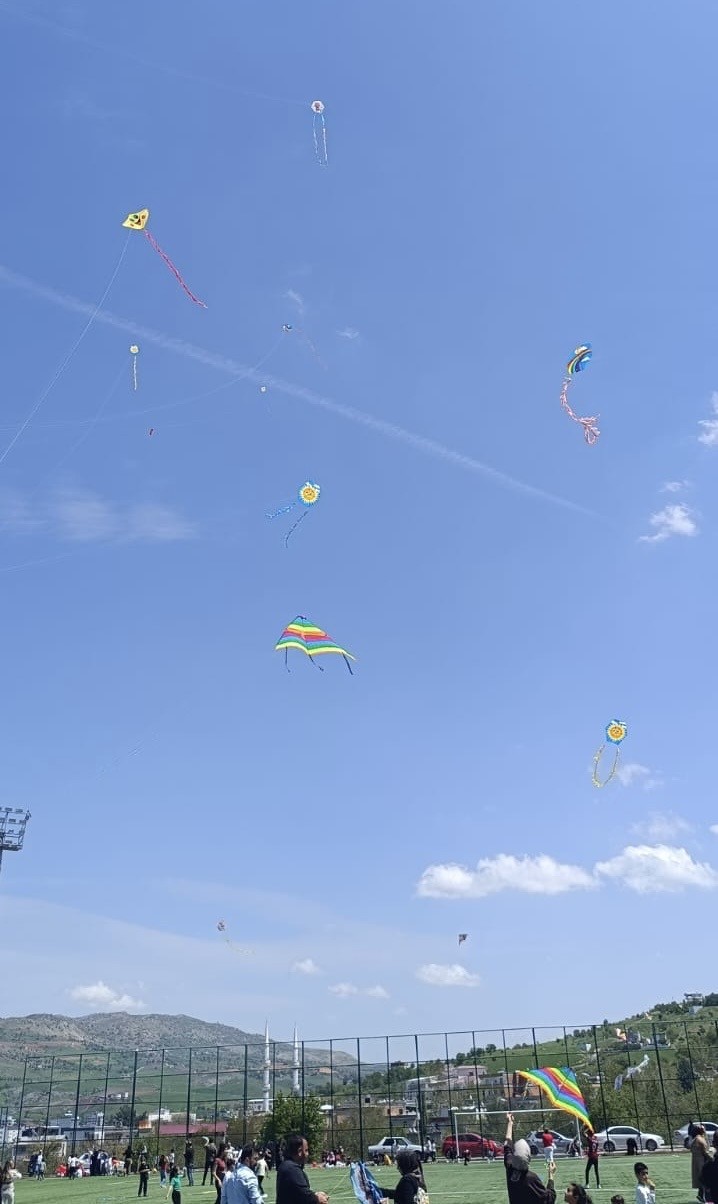 Çermikte uçurtma şenliği düzenlendi
