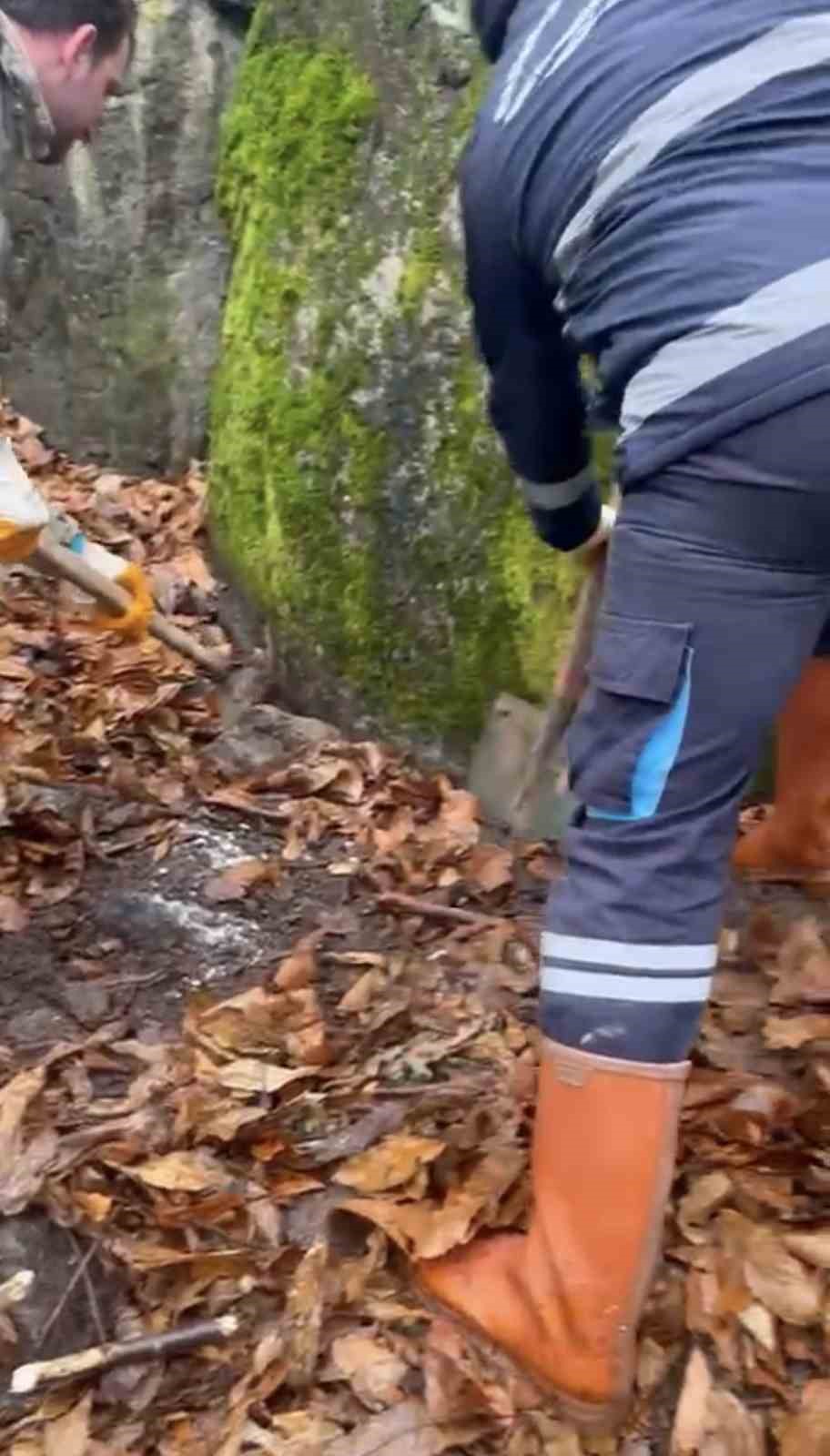 Cesedi ormana gömüp mahkemede birbirini suçlayan kardeşler cezadan kurtulamadı
