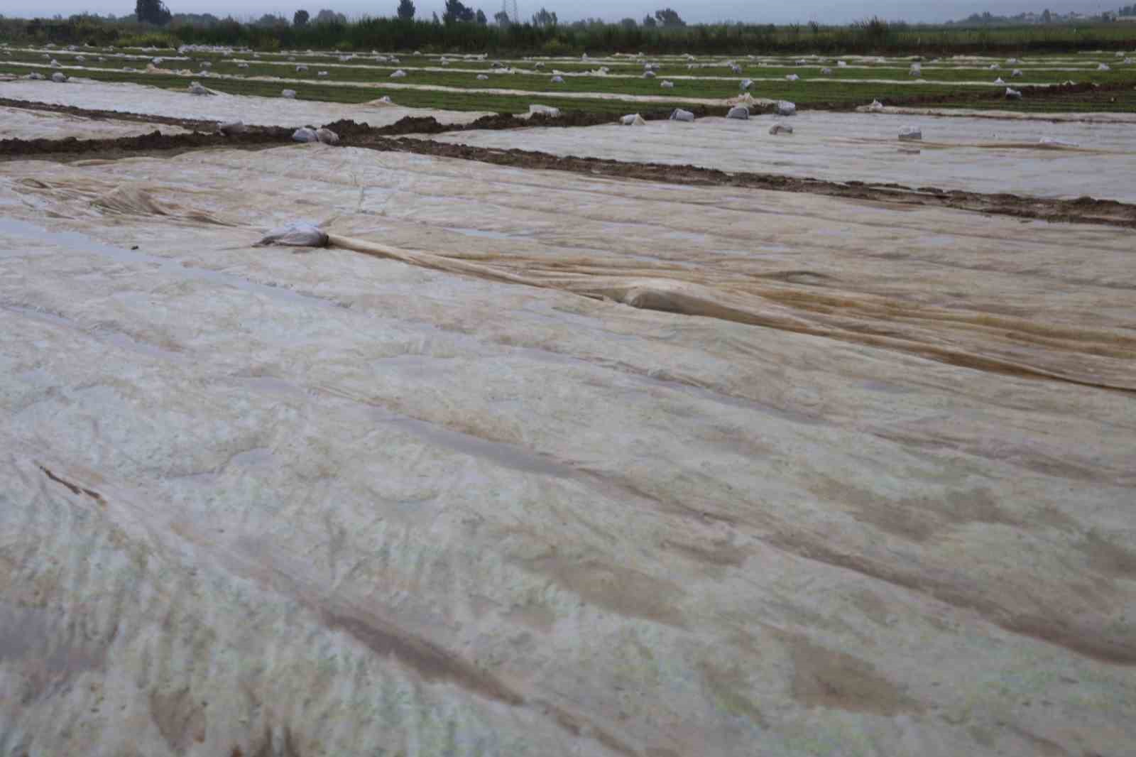Çevreyi beyaza bürüyen fındık büyüklüğündeki dolu tarım arazilerini vurdu
