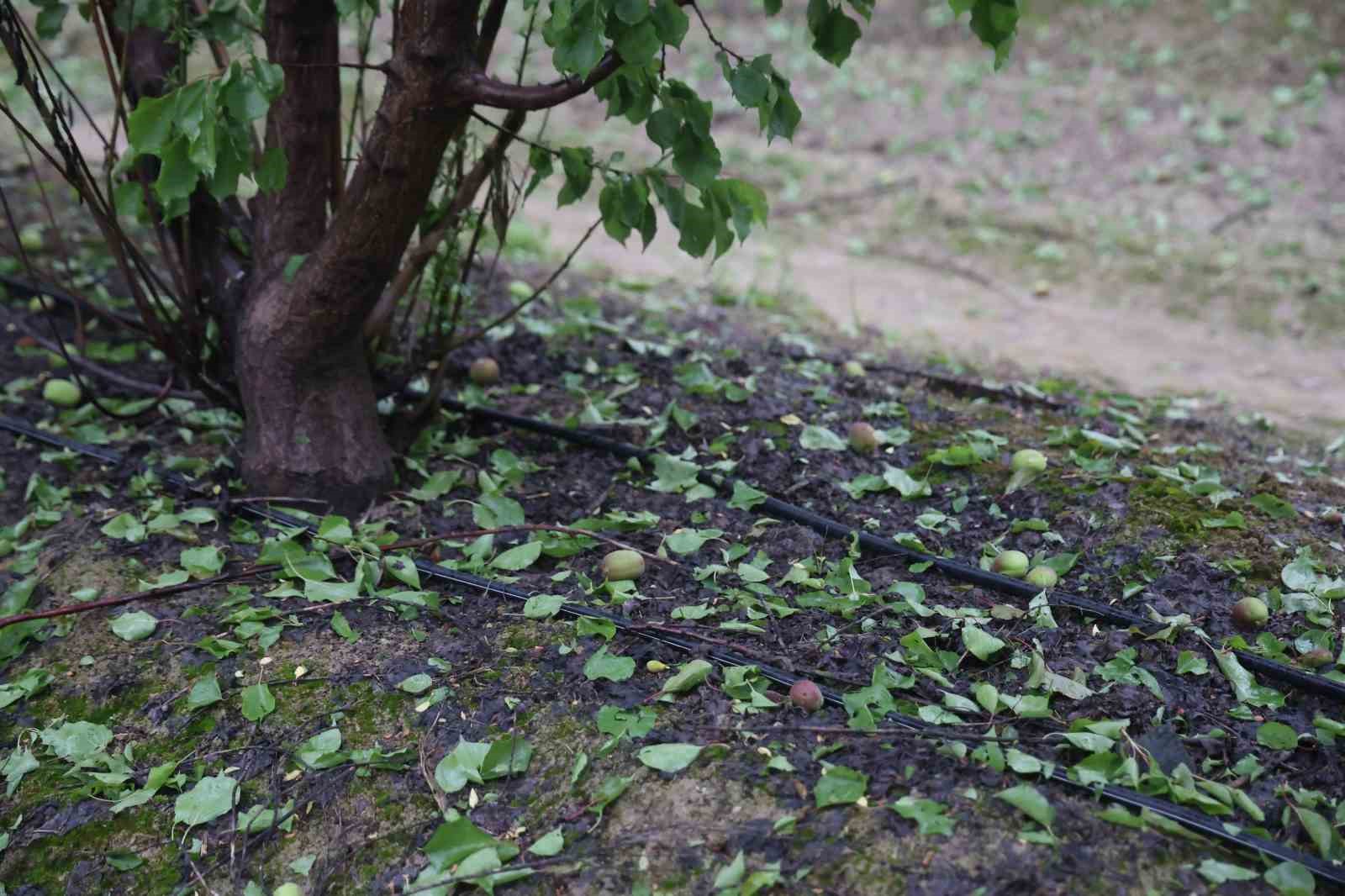 Çevreyi beyaza bürüyen fındık büyüklüğündeki dolu tarım arazilerini vurdu
