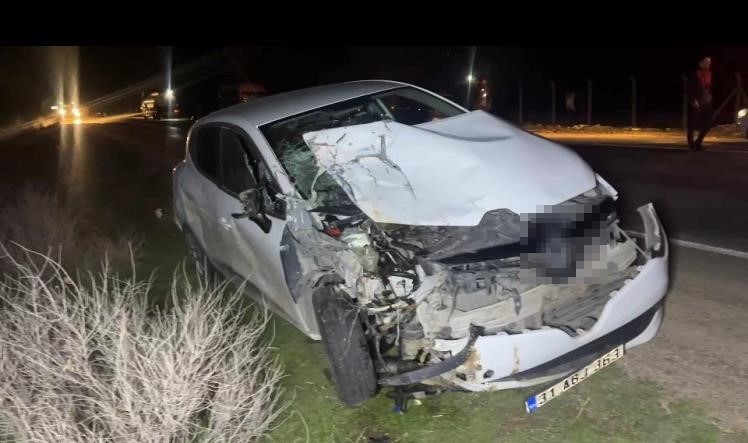 Ceylanpınar’da otomobil, at arabasına çarptı: 2 yaralı
