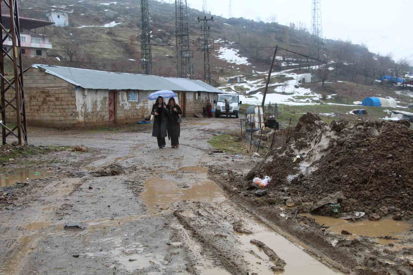 Chicago’da ev bakarken, kendini Şırnak’ta buldu
Chicago’da ev bakarken, kendini Şırnak’ta buldu