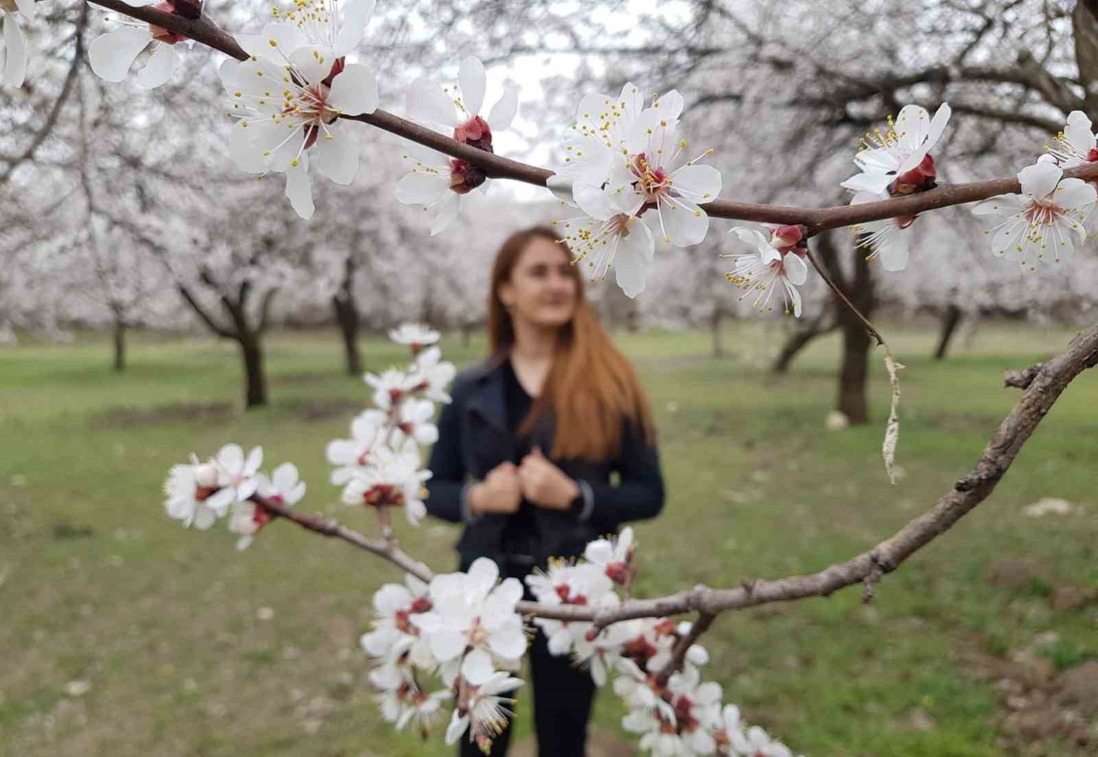 Çiçek açan ağaçların görselliği mest etti

