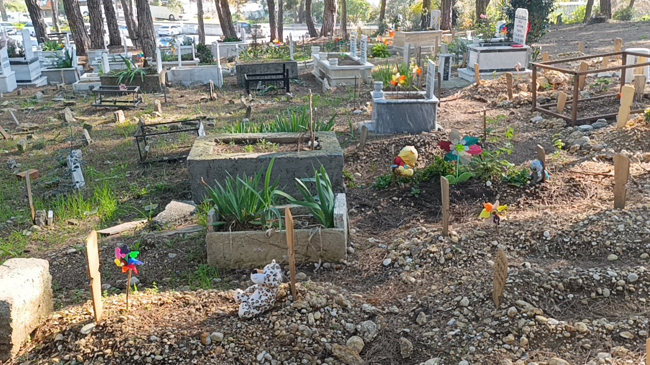 Çiçeklerden çok oyuncaklarla bezenen mezarlıkta duygulandıran görüntüler
