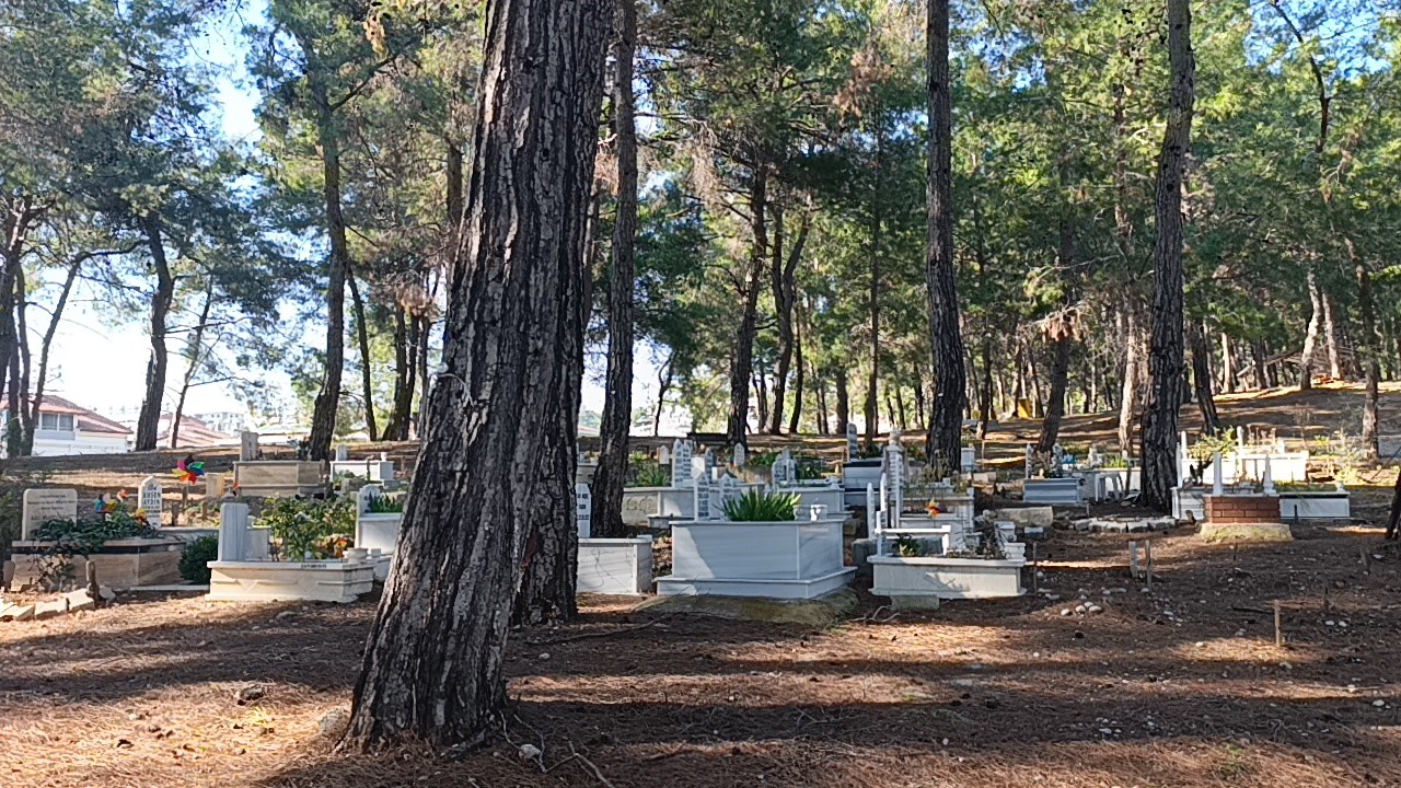 Çiçeklerden çok oyuncaklarla bezenen mezarlıkta duygulandıran görüntüler
