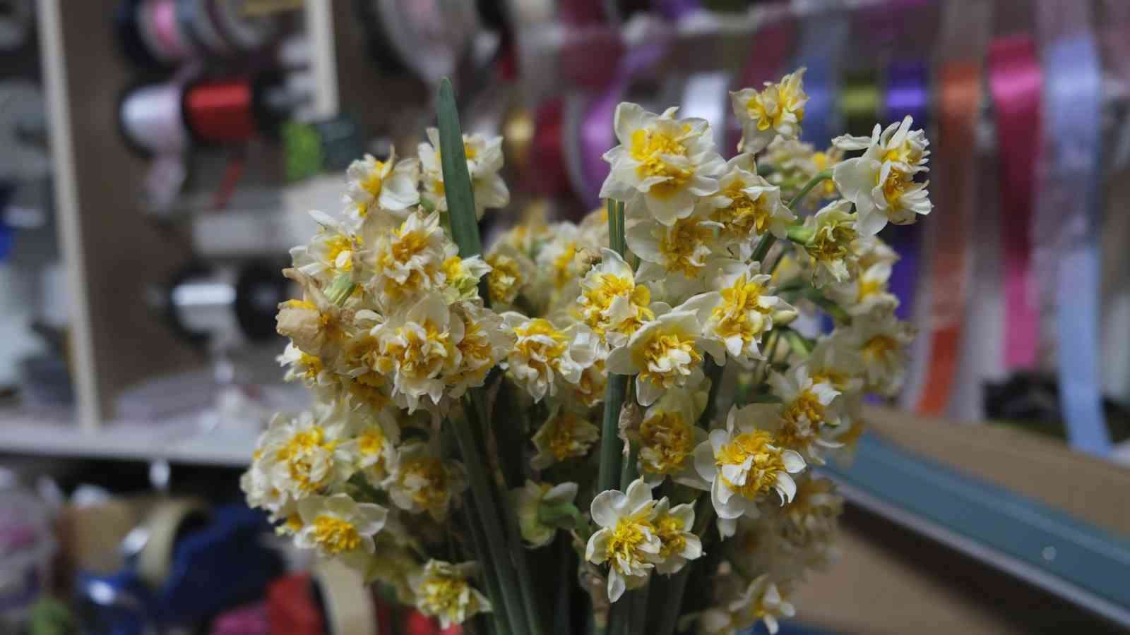 ’Çiçeklerin annesi’ nergis büyük ilgi görüyor
