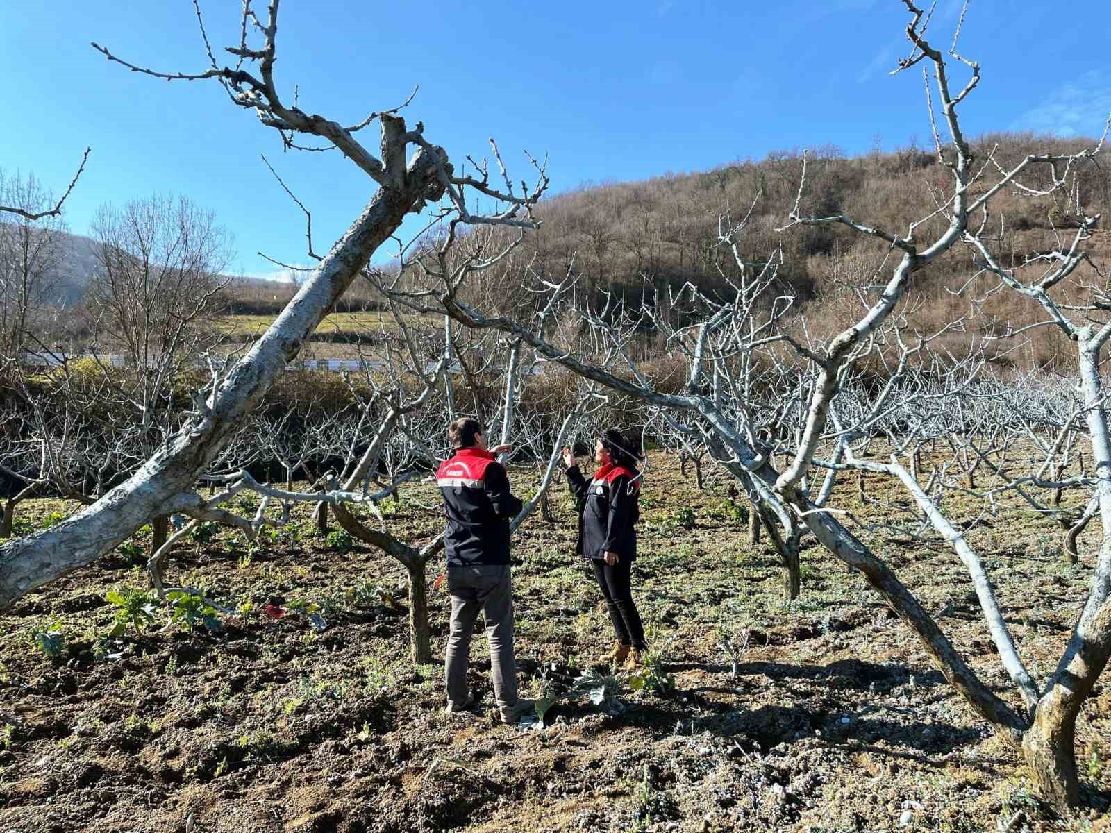 Çiftçilere bordo bulamacı uyarısı
Çiftçilere bordo bulamacı uyarısı