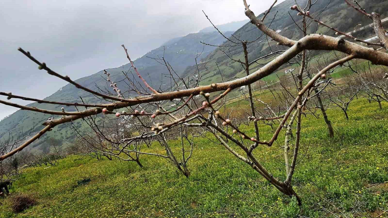 Çiftçilere bordo bulamacı uyarısı
Çiftçilere bordo bulamacı uyarısı