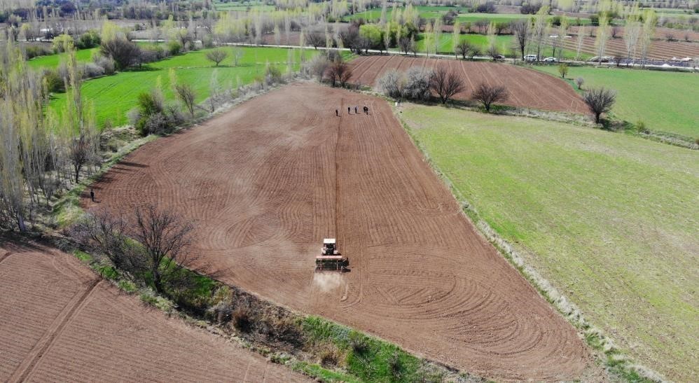 Çiftçinin enflasyonu şubatta yavaşladı
Çiftçinin enflasyonu şubatta yavaşladı