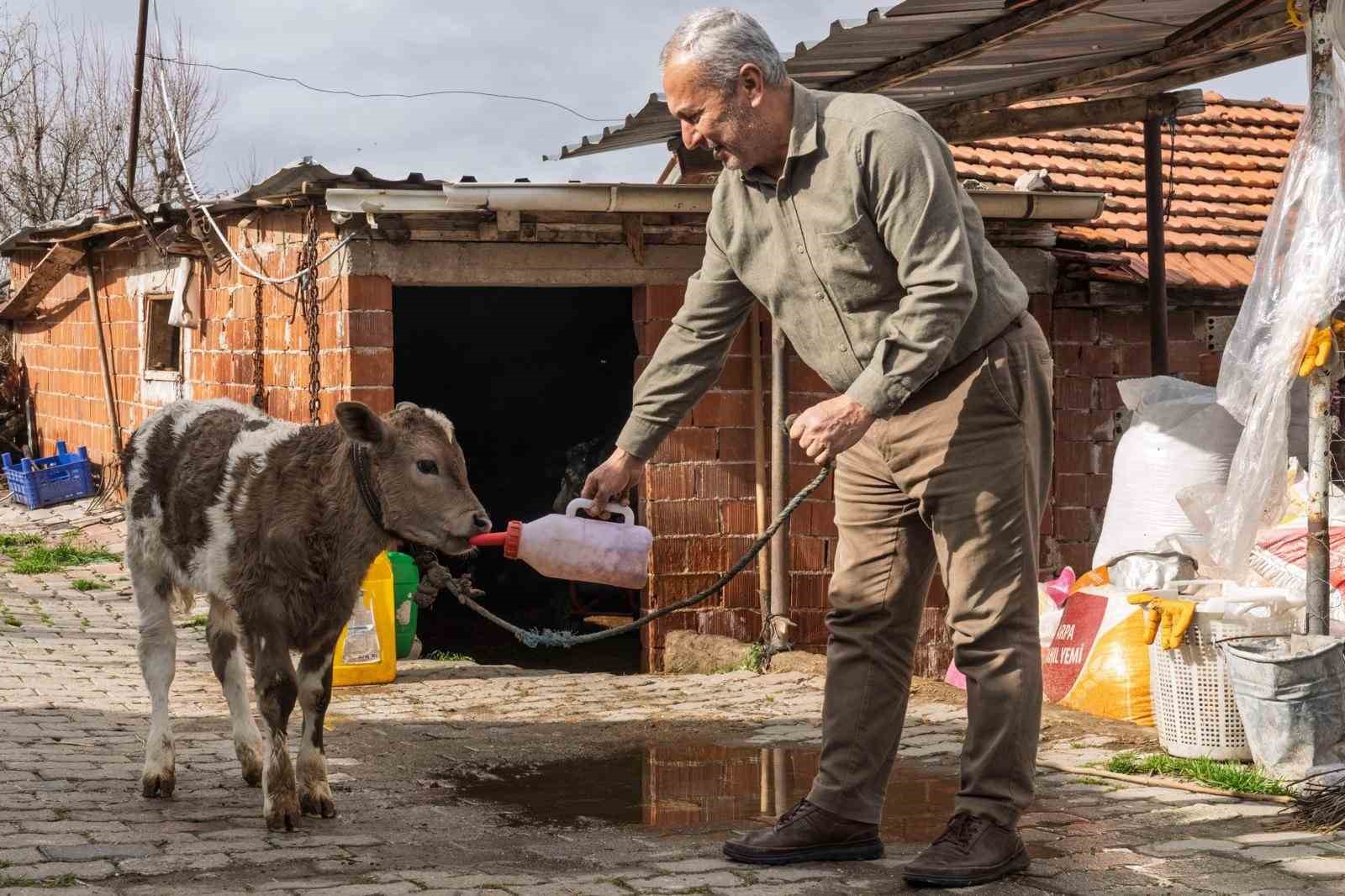 Çiftçiye buzağı kiti ve dezenfektan desteği
Çiftçiye buzağı kiti ve dezenfektan desteği