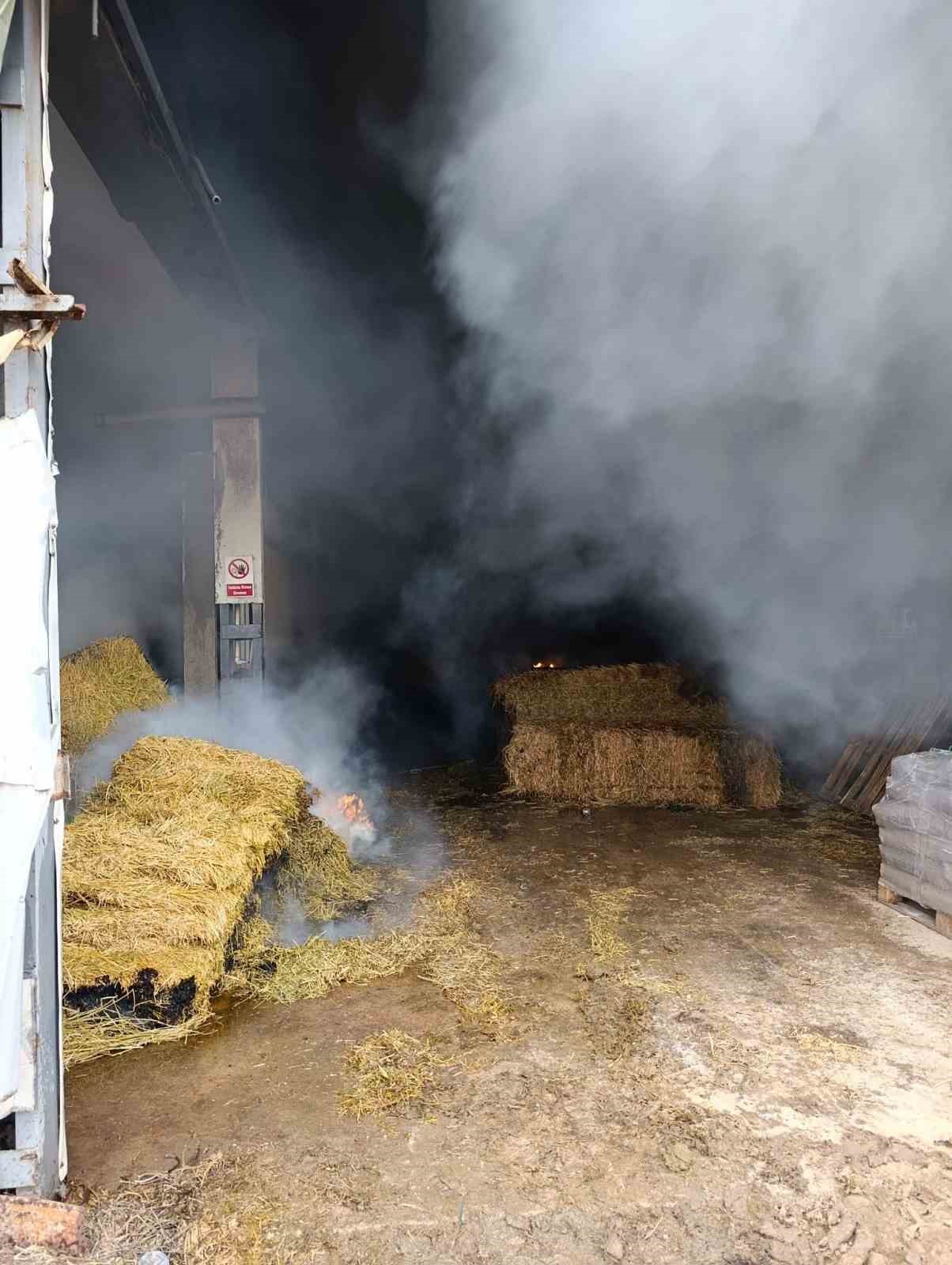 Çiftlikte çıkan yangın paniğe neden oldu
